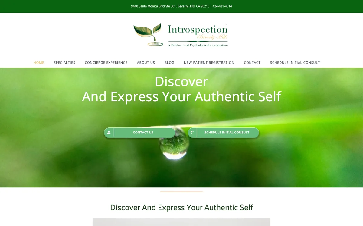 Psychology Practice & Assessment Services : Introspection Beverly Hills project screenshot