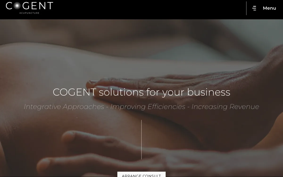 B2B Site for an Acupuncture Consultancy : Pique Acupuncture project screenshot